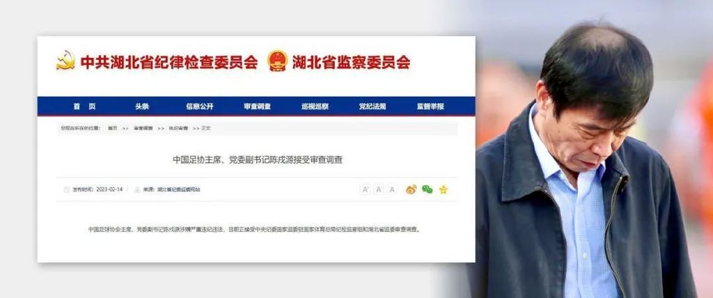 11岁的查拉自小与其吸毒的母亲相依为命。他以练习战犬为生。这类餬口手段使得他变得很暴戾。这点在他的校园糊口中便有所表现。卡米拉是他很畏敬，很倾慕的6年级的教员。有一天，这位教员病了，乃至于几个月都不克不及来黉舍上课。而新来教员不克不及理解查拉的行动，并送他往了劳教所。等卡米拉教员回来后，她死力否决新教员和同窗们的这类做法。因而，卡米拉和查拉的豪情起头延续升温，但这段日趋密切的关系却为他们对他们留在黉舍发生了要挟。 该片荣获2014年纽约哈瓦那第15届片子节最好影片奖。